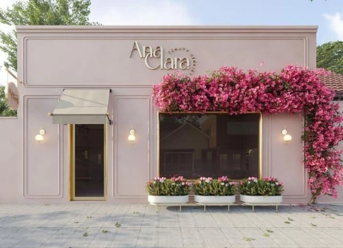 Décoration façade tendance  en aquapanel 