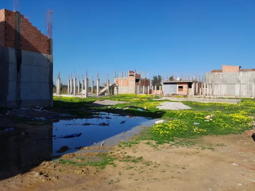 Echange Terrain Blida Larbaa