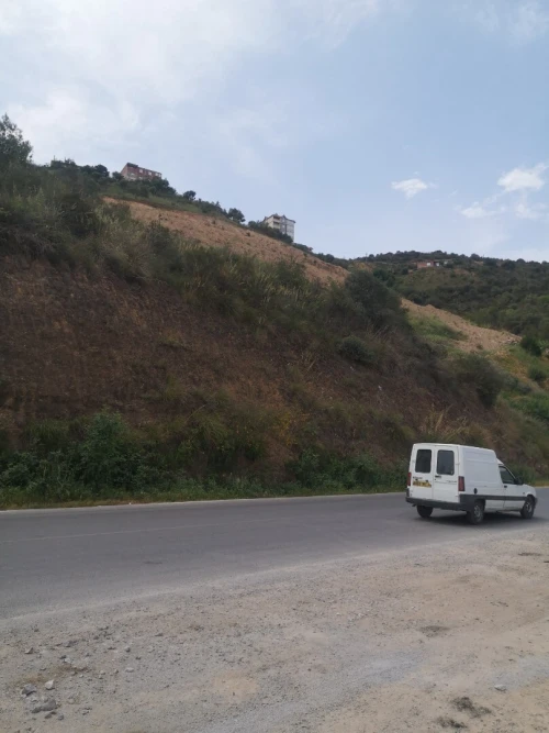 Vente Terrain Agricole Béjaïa Amizour