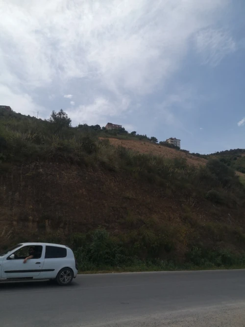 Vente Terrain Agricole Béjaïa Amizour