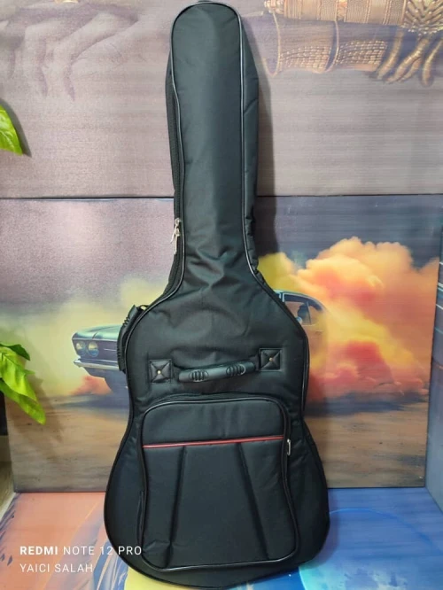 Guitare acoustique ibanez pf 14-wk