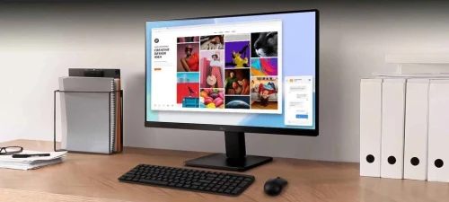 Monitor LG Professional (شاشة/شاشة)
