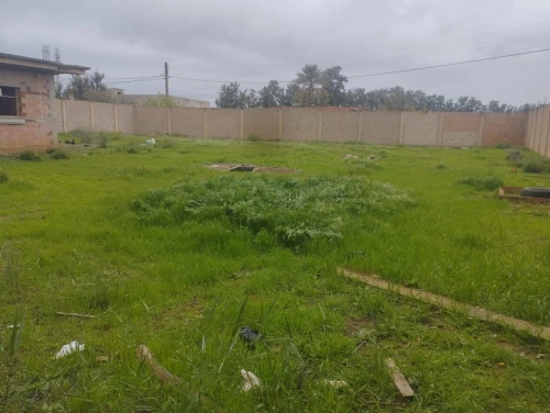 Vente Terrain Chlef Chlef