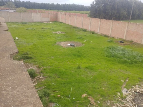 Vente Terrain Chlef Chlef