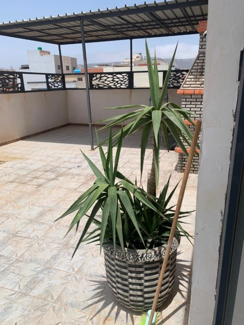 Vente Appartement F4 Oran Oran