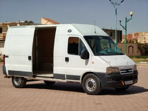 Citrouille Boxer 2004