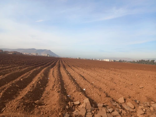 Vente Terrain Aïn Defla El attaf