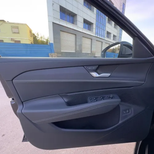 Volkswagen Passat 2025 Dragon 