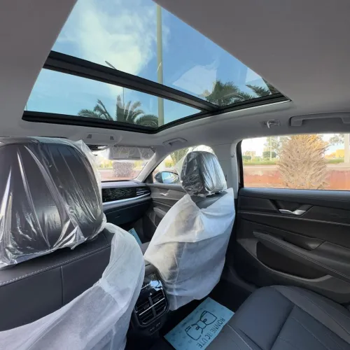 Volkswagen Passat 2025 Dragon 