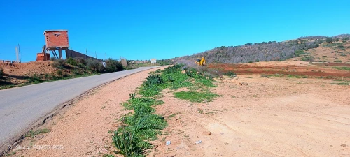 Vente Terrain Tlemcen Souahlia