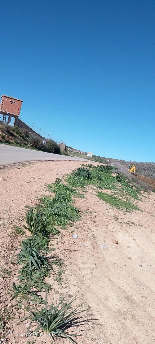 Vente Terrain Tlemcen Souahlia