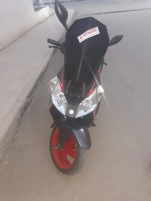 Benilli Caffanero 2019