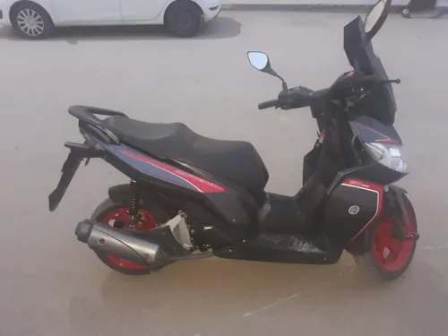 Benilli Caffanero 2019