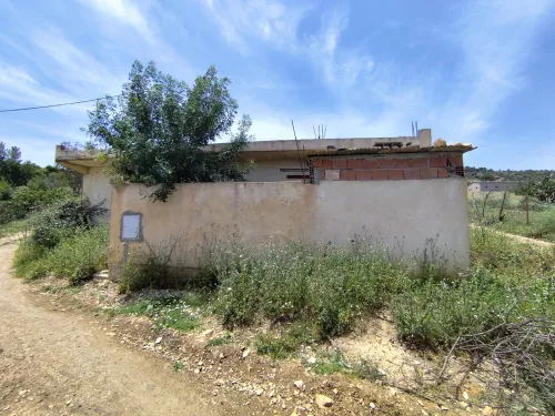 Vente bien immobilier Guelma Hammam nbail