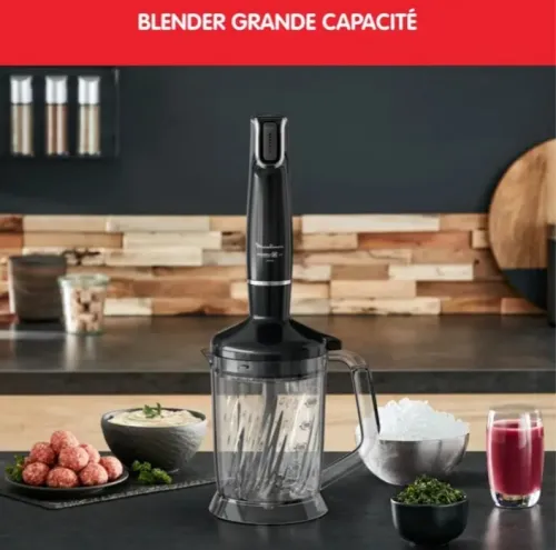 MOULINEX InfinyForce Pieds mixeur polongeant 4 accessoires 1000w