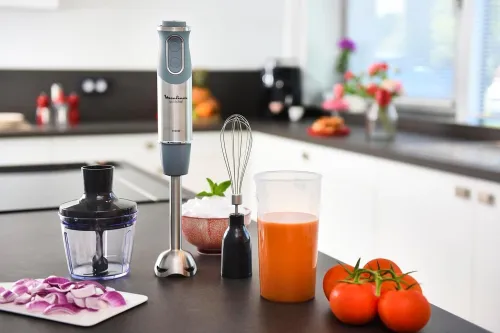 MOULINEX Quick Chef Pied mixeur 3 accessoires 21 Fonctions 10 vitesses 1000w hachoir et fouet
