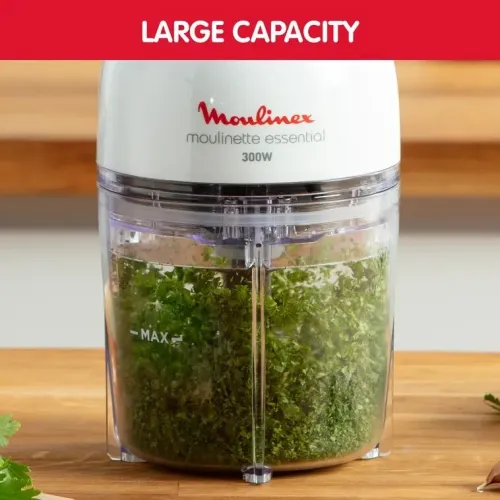 MOULINEX Moulinette Essential Mini hachoir 3en1 4 lames