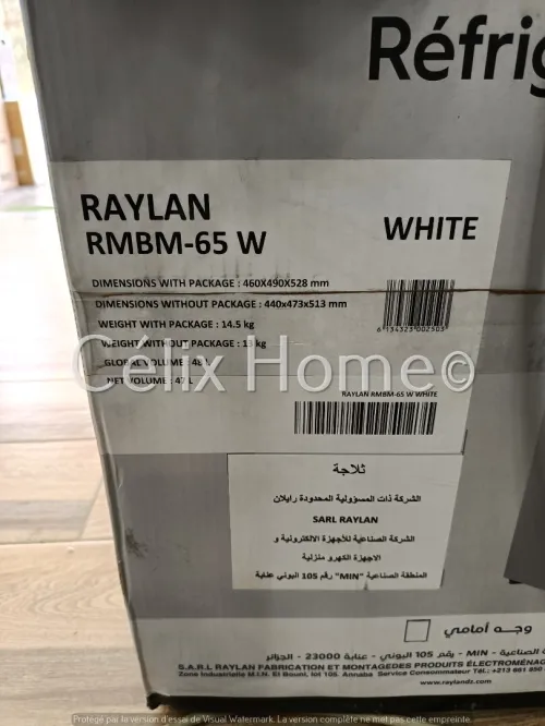 RAYLAN Mini réfrigérateur 47L Blanc/Gris