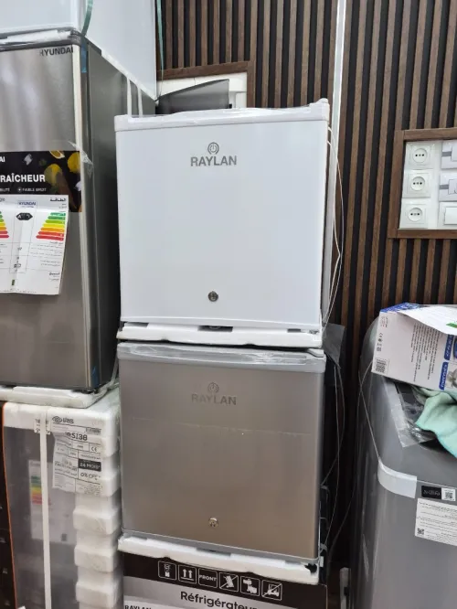 RAYLAN Mini réfrigérateur 47L Blanc/Gris