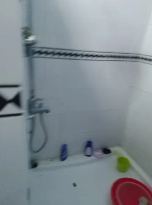 Location Appartement F3 Oran Oran