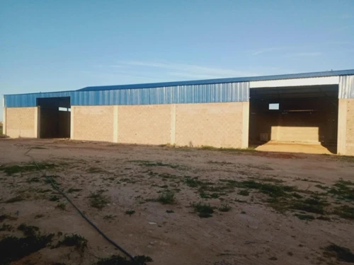 Location Hangar - Usine Mostaganem Sayada