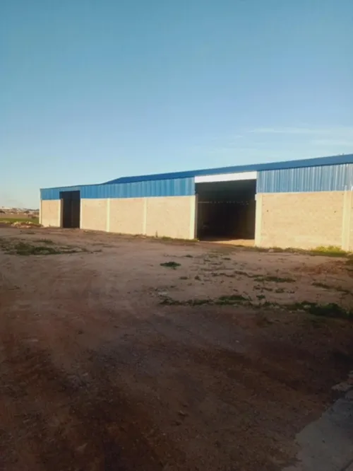 Location Hangar - Usine Mostaganem Sayada
