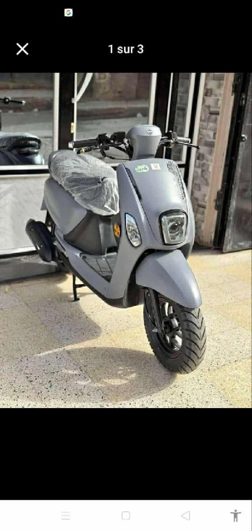 Cuxi Cuxi 2 2025