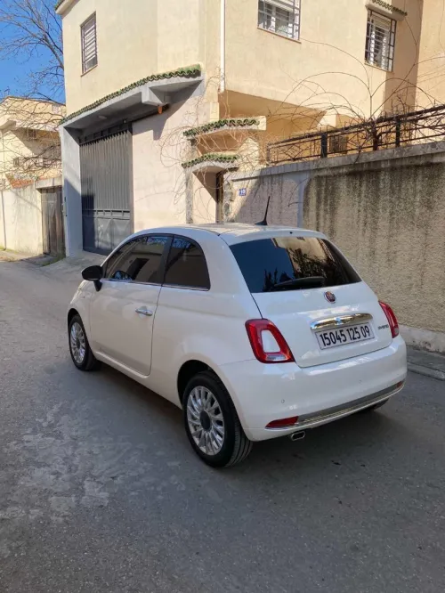 Fiat 500 2025 Cult MIB