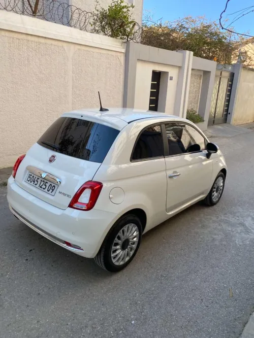 Fiat 500 2025 Cult MIB