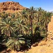 DJANET Plateau SEFAR Décembre 2024