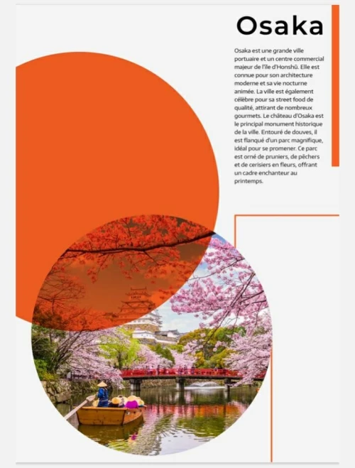 Combiné Japan/ Thaïlande/ Qatar été 2025