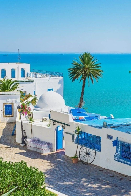 Tunisie par Bus Décembre 2024