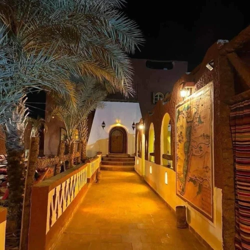 VOYAGE ORGANISE Timimoun 2026