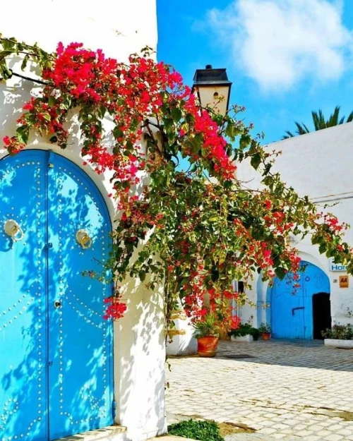 PROMO Réveillon 2025 Tunisie par Avion