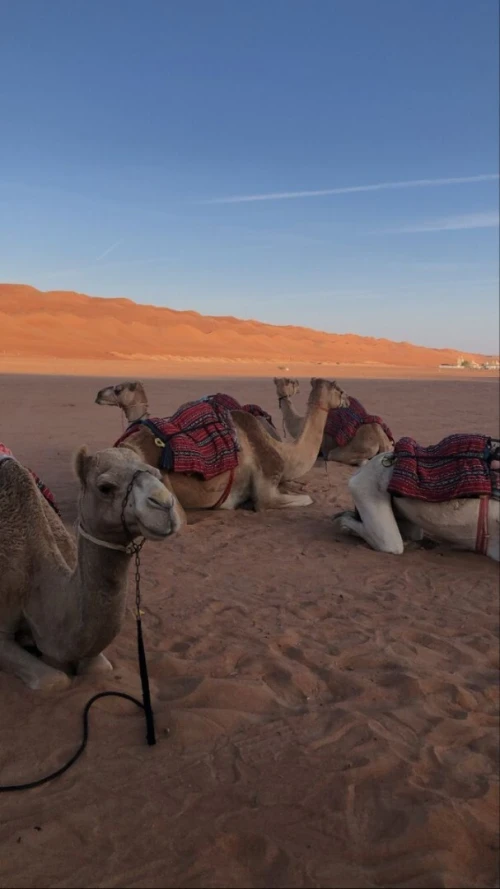Voyage organisé  DUBAI  Novembre- Décembre
