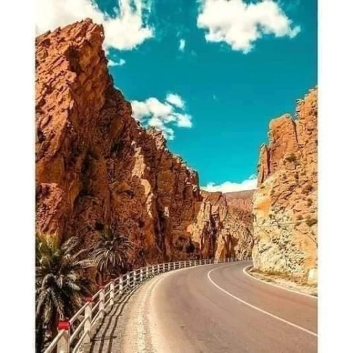 BISKRA & SAFARI OULED DJELEL spécial réveillon 2025