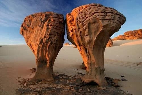 voyage de fin d'année a Tamanrasset Tassili Hoggar 