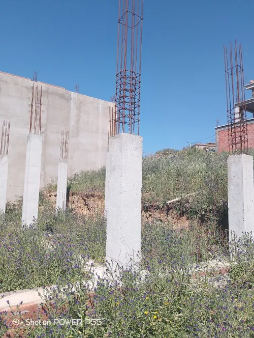 Vente Terrain Boumerdès Ouled moussa