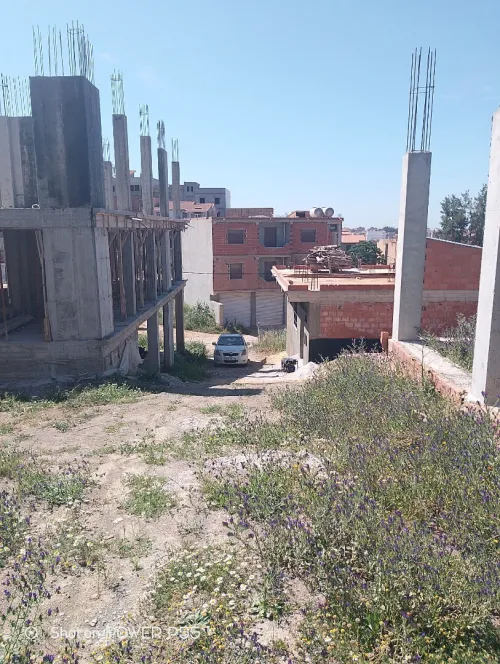 Vente Terrain Boumerdès Ouled moussa
