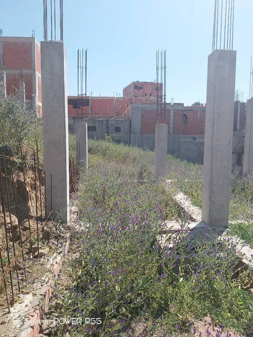 Vente Terrain Boumerdès Ouled moussa