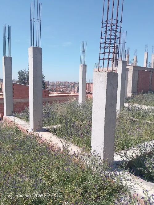 Vente Terrain Boumerdès Ouled moussa