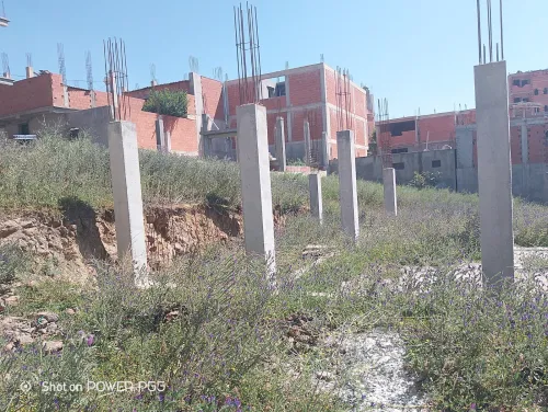 Vente Terrain Boumerdès Ouled moussa