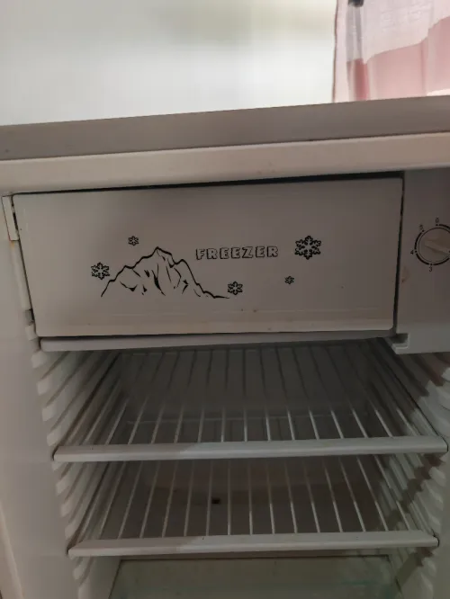 Petit Frigo 98L