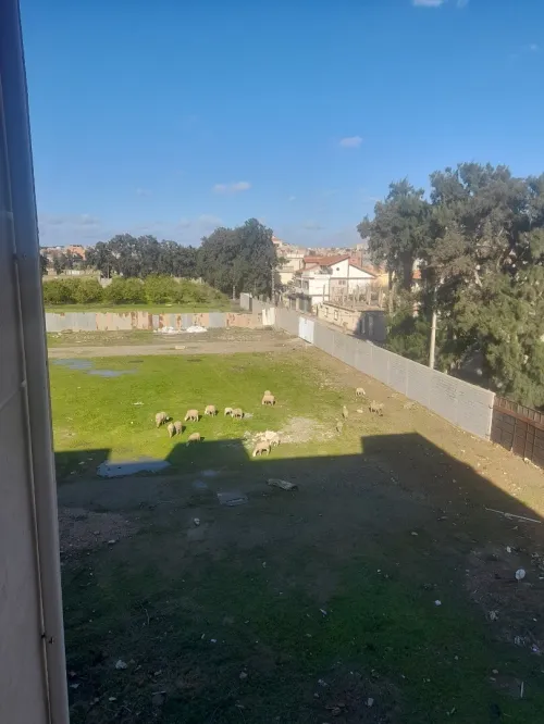 Location Appartement F3 Alger Reghaia