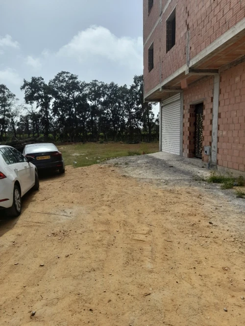 Vente Terrain Alger Reghaia