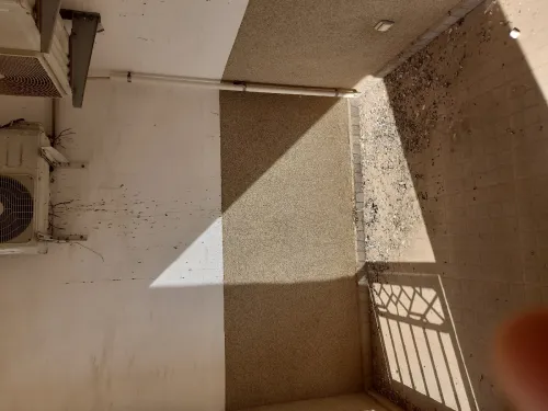 Vente Appartement F5 Alger Reghaia