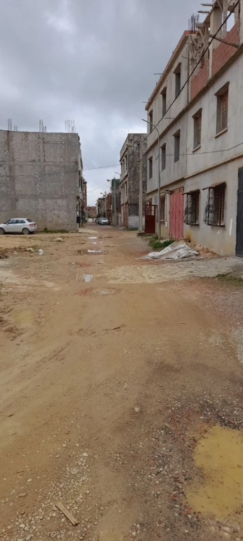 Vente Carcasse Alger Reghaia