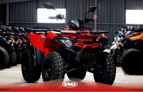 VMS Quad B200 2026