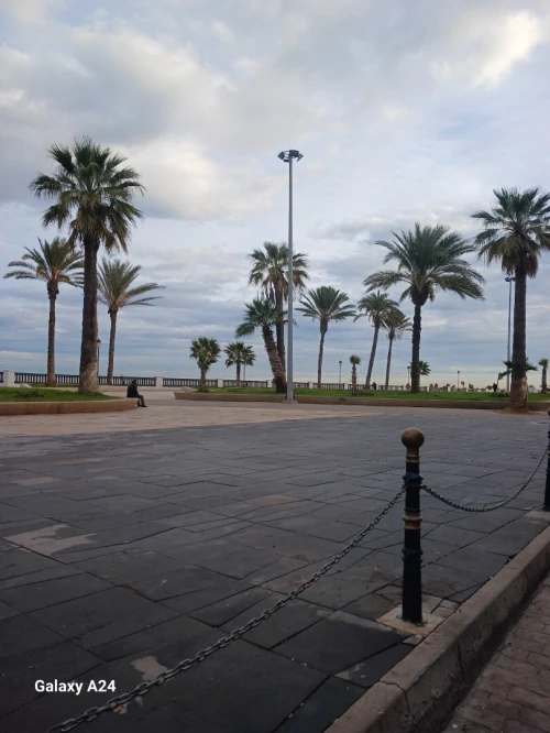Location Local Alger Bab el oued