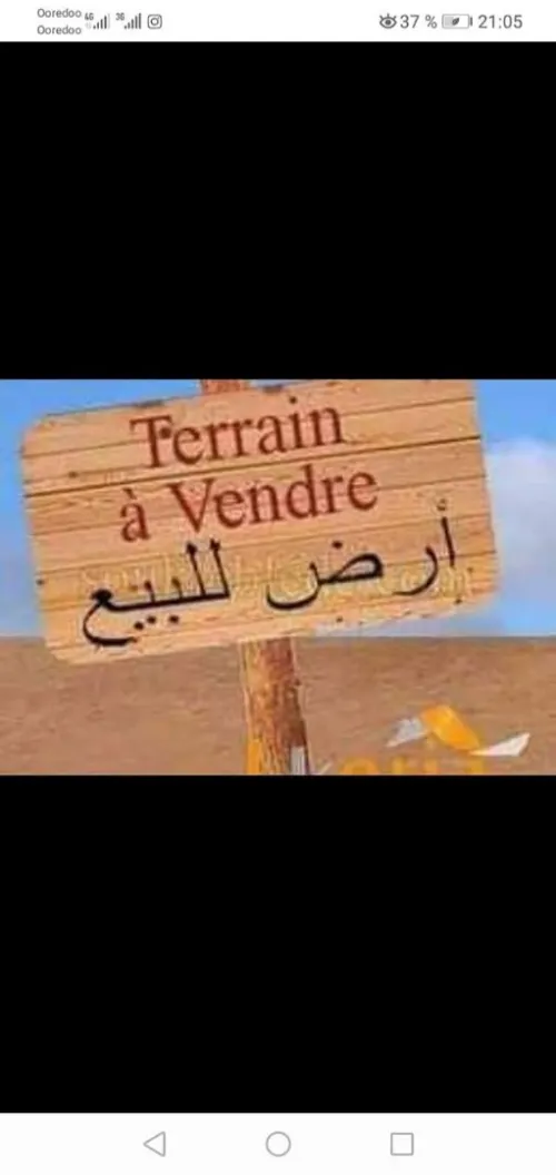 Vente Terrain Aïn Témouchent El amria
